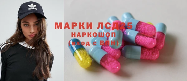 прущие грибы Алзамай