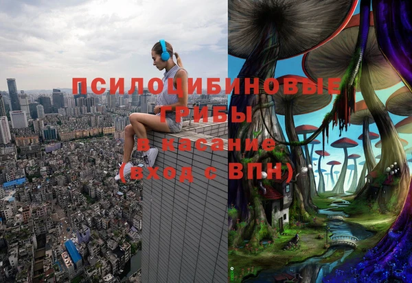 наркотики Алексин