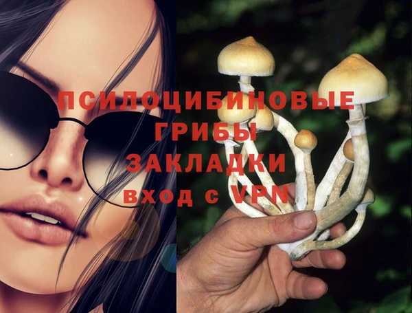 наркотики Алексин