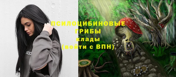 прущие грибы Алзамай