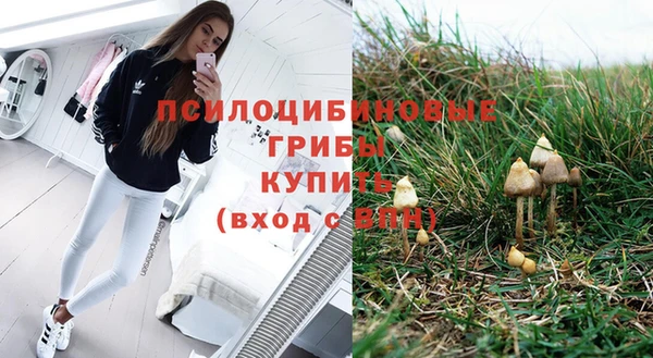 прущие грибы Алзамай