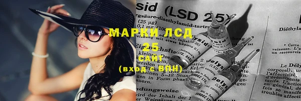 прущие грибы Алзамай