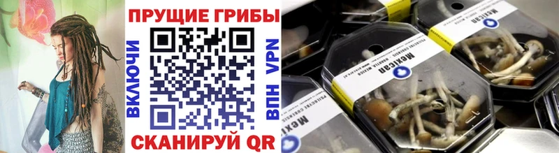 Галлюциногенные грибы прущие грибы  Чебаркуль 